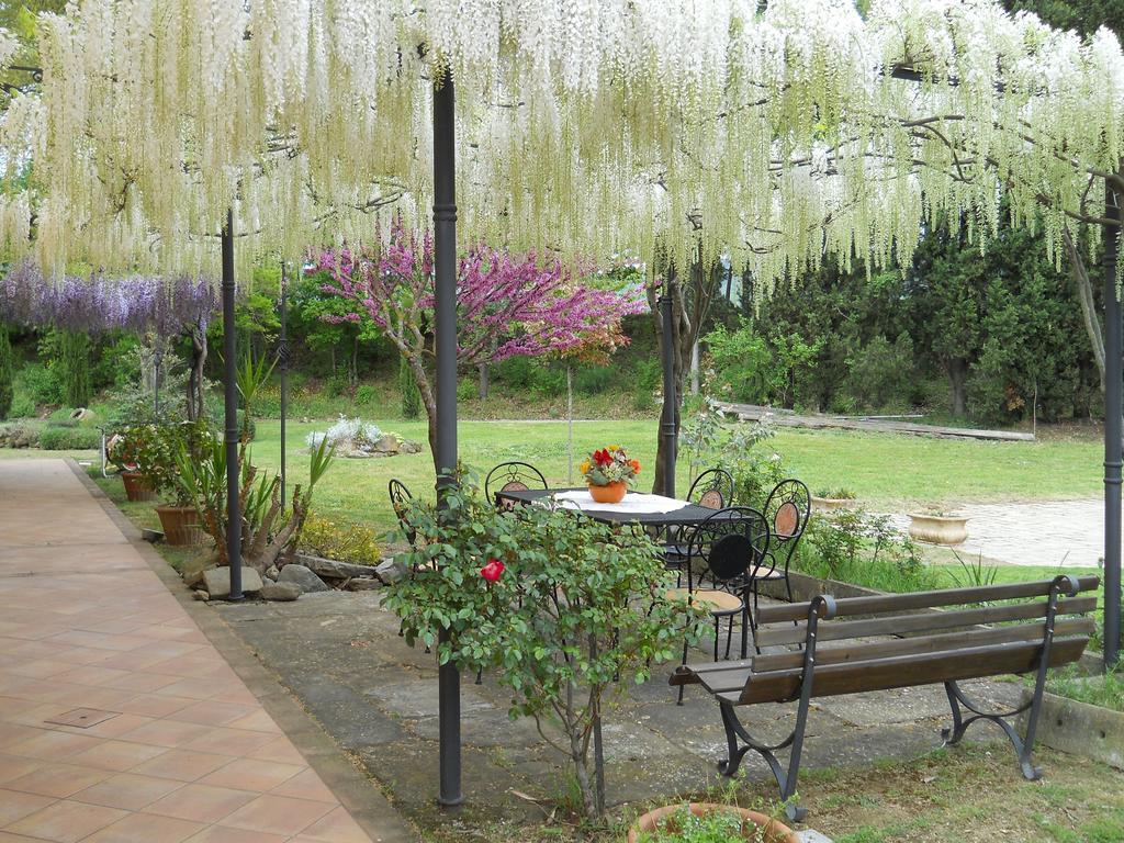 Отель Mulino Vecchio Del Cilone Кастильон-Фьорентино Экстерьер фото