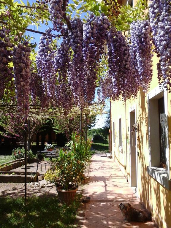 Отель Mulino Vecchio Del Cilone Кастильон-Фьорентино Экстерьер фото