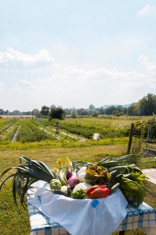Отель Mulino Vecchio Del Cilone Кастильон-Фьорентино Экстерьер фото